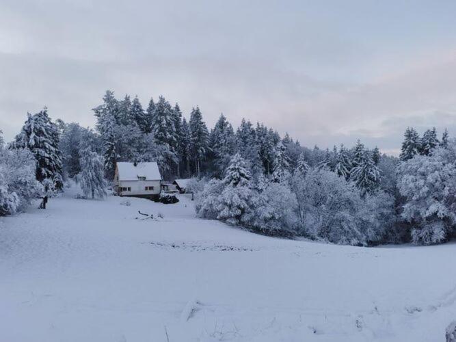 Holiday Home In Filz Near River Extérieur photo